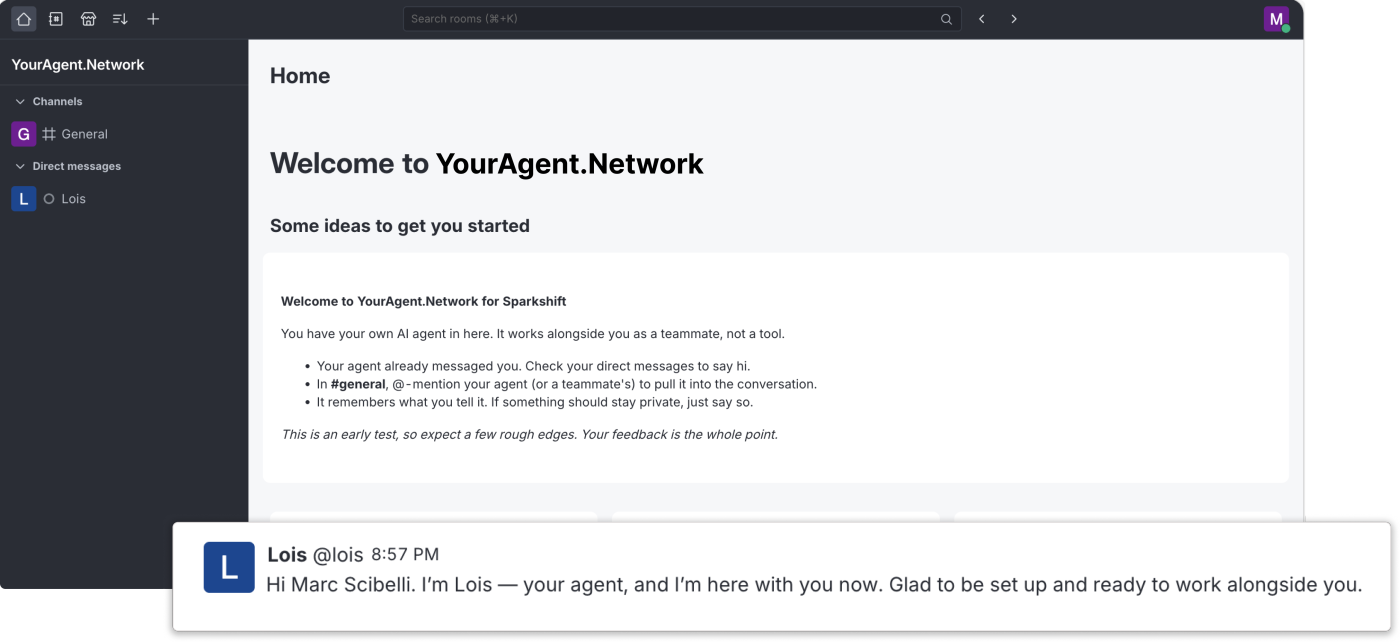 The home welcome screen explaining the agent is a teammate, with the agent's greeting